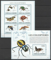 Uc058 2009 Comoros Insects Coleopteres Beetles Kb+Bl Mnh - Abeilles