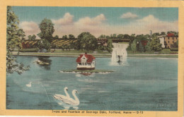 Swans And Fountain At Deering Oaks, Portland, Maine - Portland