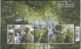 TIMBRE  ZEGEL STAMP  BELGIQUE BL 172 LA FORÊT DE SOIGNES  XX - Neufs