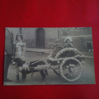 CARTE PHOTO ATTELAGE DE CHIEN LIEU A IDENTIFIER 1926 - Zu Identifizieren