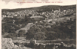 PALESTINE - Vue Générale D'Hébron - Carte Postale Ancienne - Palestine
