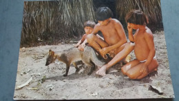 CPSM JEUNE INDIEN LAUALAPITI ANIMAL RAPOSA RENARD ? PARC XINGU  AMERIQUE BRASIL BRESIL NATIVO AMAZONIE ETHNIQUE CULTURE - America