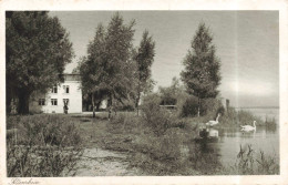 SUISSE - Saint Gall - Altenrhein - Un Paysage De Campagne - Carte Postale Ancienne - Saint-Gall