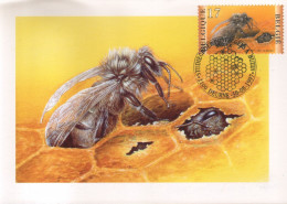 BUZIN / CARTE MAX / COB 2717 / NAISSANCE D'UNE ABEILLE - 1991-2000