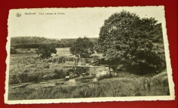 GEDINNE  -   Pont Rustique De Cherzy - Gedinne