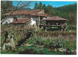 CASA TIPICA CON SU HÓRREO / TYPICAL HOUSE WITH BARN.- ASTURIAS.-  ( ESPAÑA). - Asturias (Oviedo)