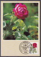 # (682) Berlin Maximumkarte 1982 Wohlfahrt : Gartenrosen (MKB-1-44) - Cartes-Maximum (CM)