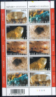 TIMBRE STAMP ZEGEL BELGIQUE  FEUILLET DE 2 X 5  3174-3175 LES MINERAUX  XX - 2011-2020