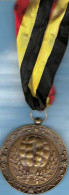 MARCHIENNE-AU-PONT Médaille De Bronze Revers : « HONNEUR/LES GILLES/MARCHIENNOIS/25 ANNEES» - Profesionales / De Sociedad