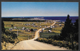 Cap Des Rosiers Gaspésie Qc. Descending Du Cap Bon Ami Belle Vue - Uncirculated  Non Circulée  Par Al Cassidy - No 3003R - Gaspé