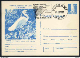 AIGRETTE GARZETTE - EGRETA GARZETTA - PELICANIFORME / 1980 ROUMANIE ENTIER POSTAL ILLUSTRE (ref 739e) - Pélicans