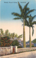 America Antilles Bermuda Stately Royal Palms - Bermuda