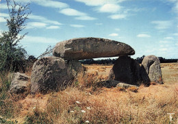 Le Breuil * Le Dolmen De La Pierre Levée * Monolithe Mégalithe - Autres & Non Classés