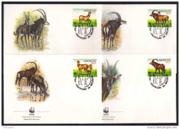 BOVIDE - VACHE - PALANCA - WWF / 1990  ANGOLA 4 ENVELOPPES FDC ILLUSTREES (ref CM140) - Vaches