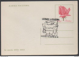 TIR - FUSIL - ARMES / 1971 POLOGNE - OBLITERATION ILLUSTREE SUR ENTIER POSTAL  (ref LE797) - Schieten (Wapens)