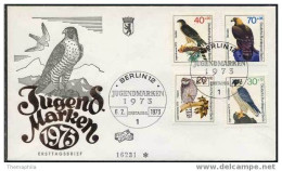 AUTOUR - FAUCON - EPERVIER -AIGLE / 1973 ALLEMAGNE ENVELOPPE FDC (ref 773) - Aigles & Rapaces Diurnes