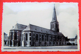 MEULEBEKE  -  Parochiekerk St Amand - Meulebeke