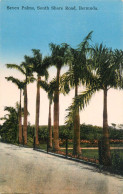 America Antilles Bermuda Seven Palms South Shore Road - Bermuda