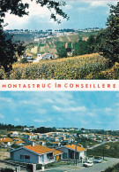 MONTASTRUC LA CONSEILLERE - La Cité ANRELY - Montastruc-la-Conseillère