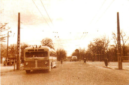 Romania Regia Autonoma De Transport Bucuresti Troleibuz Bd Kiseleff 1954 - Bermudes