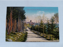 ANTIQUE POSTCARD PORTUGAL GUARDA - SANATORIO SOUSA MARTINS AVENIDA DAS CHALETS UNUSED - Guarda