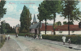 Belgique - Berloz - Ferme Du Château - Animé - Clocher - Carte Postale Ancienne - Berloz