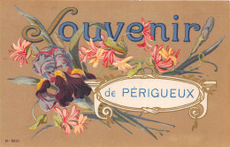 24-PERIGUEUX- SOUVENIR DE PERIGUEUX - Périgueux