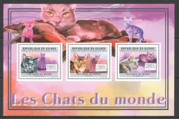 Bc269 2011 Guinea Fauna Animals Pets Cats Les Chats 1Kb Mnh - Chats Domestiques