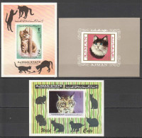 Ar016 Imperf Ajman Air Mail Animals Pets Wild Cats !!! 3Bl Mnh - Chats Domestiques