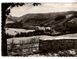 La Vallée De L' Ourthe , Les Environs De Maboge , - La-Roche-en-Ardenne