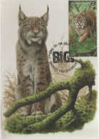 BUZIN / CARTE MAX / COB 4938 / LES BIG 5 D'EUROPE / LYNX BOREAL - 2011-..