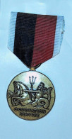 Médailles & Décorations  > Navy Occupation Service Medal  > Réf:Cl USA P 3/ 5 - USA