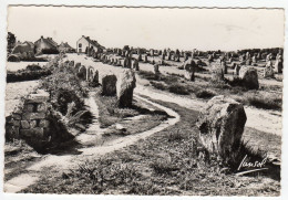 CPSM Photo Carnac 56 Morbihan Dolmen Menhir Champ Important De Menhirs Alignement De Ménec  éditeur Jansol - Dolmen & Menhire