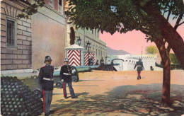 MONACO - L'Entrée Du Palais Et Les Carabiniers - ND Photos - Colorisé - Carte Postale Ancienne - Palais Princier