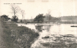 Belgique - Staelen  - Les Marais -  Carte Postale Ancienne - Genk