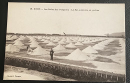 36 - GIENS Les Salins Des Pesquiers - Le Sel A été Mis En Gerbes - Restaurants