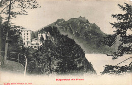 SUISSE - Bürgenstock - Le Pilate  - Carte Postale Ancienne - Sonstige & Ohne Zuordnung