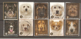 Belgique 2014 - Faces De Chiens - Petit Lot De 10 Timbres° Sur Fragments Du Carnet B145 - 10 Différents - Unclassified