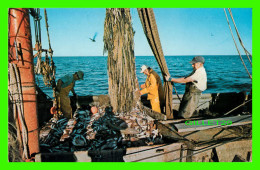 CAPE COD, MA - COMMERCIAL FISHING BOAT - TRAVEL IN 1975 - PUB. BY J. LAZARUS - - Cape Cod