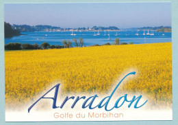 ARRADON - La Vue Sur Le Golfe Et L'île Aux Moines - Arradon