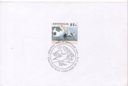 Pelican In Postmark On Card, Australia, 1994, Condition As Per Scan-SGFD2 - Marine Web-footed Birds