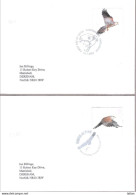 12-FD Postmark, Birds Of Prey On Envelope, 2003, GB, Condition As Per Scan-SGFD2 - Aigles & Rapaces Diurnes