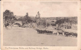 Malte - Via Principessa Melita And Railway Bridge Milkseller Milkman Malta Goat - Malte