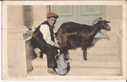 Malte - Milkman - Malta - Colorisée Milkseller Milkboy Milkman Malta Goat - Malte