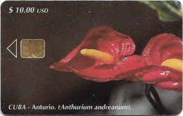 Cuba - Etecsa (Chip) - Flowers - Anthurium Flower, 06.2001, 10$, 30.000ex, Used - Cuba