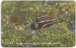 Cuba - Etecsa (Chip) - Frog Eleutherodactylus Limbatus, 08.1999, 10$, 20.000ex, Used - Cuba