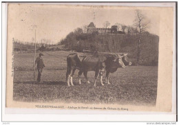 47 Villeneuve Sur Lot Attelage De Boeufs Au Dessous De Chateau Du Boscq 1906 - Villeneuve Sur Lot