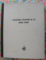 Pèlerinages Alsaciens De La Vierge Marie. Alsace. éd. Du Drakkar, Strasbourg 1954. Nombreuses Photos. - Alsace