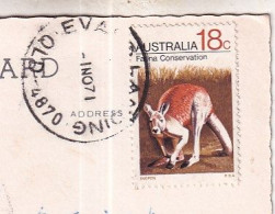 Fauna Conservation Stamp Of Australia 1971on Postcard Beach Life Rif. S236 - Brieven En Documenten