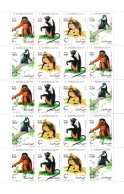 SOMALIA  1994  MNH  "MONKEYS"  HOJA COMPLETA - Chimpanzés